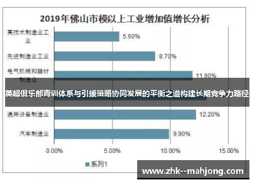 英超俱乐部青训体系与引援策略协同发展的平衡之道构建长期竞争力路径 英超俱乐部青训体系与引援策略协同发展的平衡之道构建长期竞争力路径